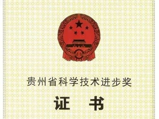 重大突破！！！Best365官网这位老师荣获贵州省科学技术进步奖一等奖