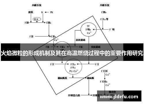 火焰微粒的形成机制及其在高温燃烧过程中的重要作用研究